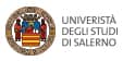 logo universita di salerno